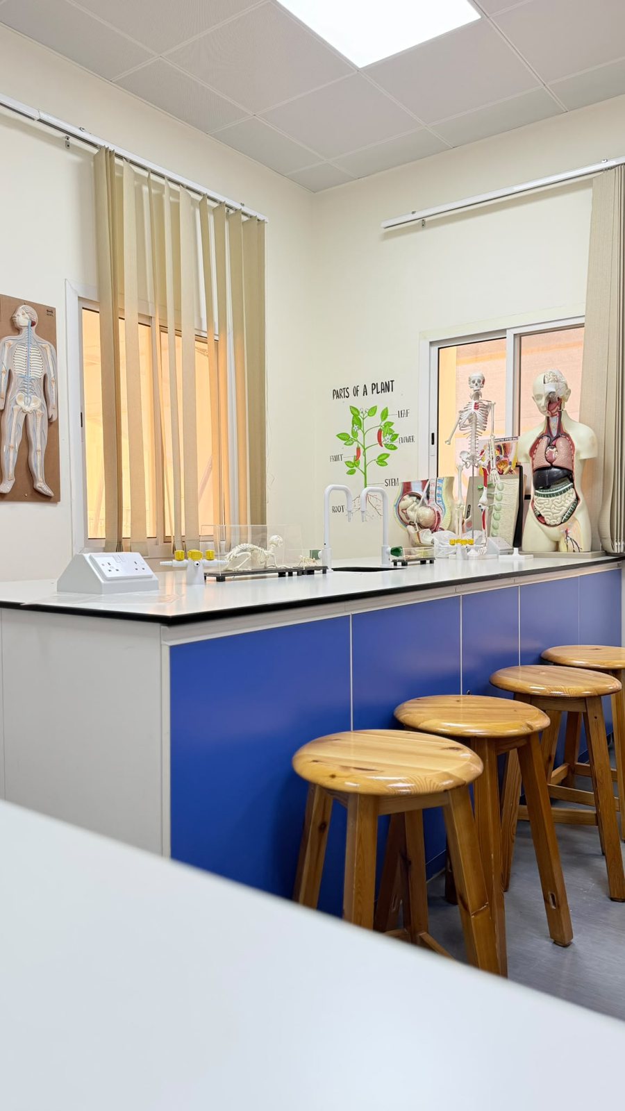 The science laboratory