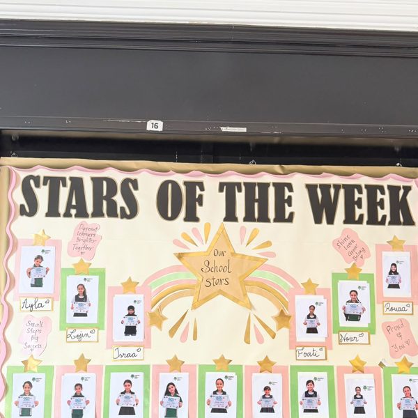 Our Stars of the Week