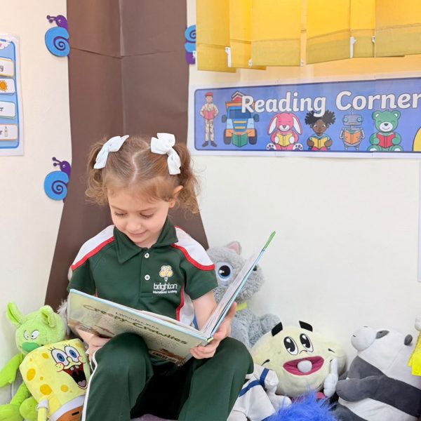 Reading for pleasure